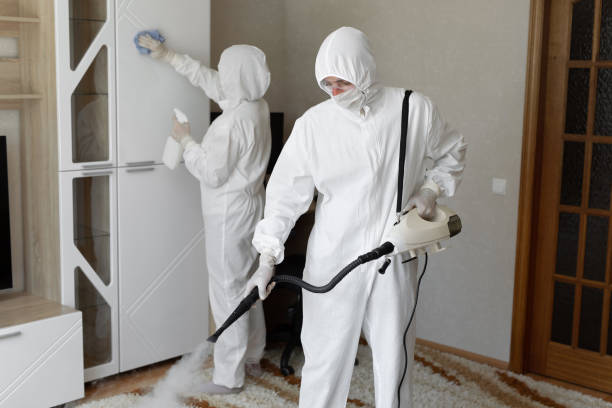 Best Commercial Mold Removal  in Union City, CA