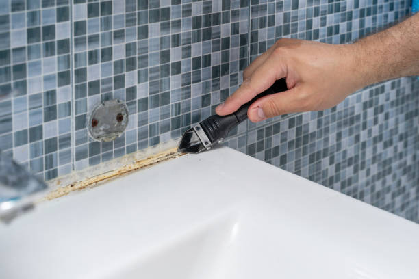 Union City, CA Mold Removal Company